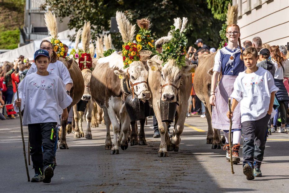 Kühe und junge Älperinnen und Älper beim Alpabzug
